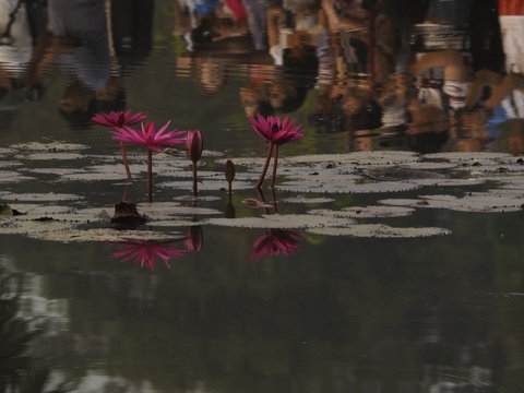 专业彩票网站